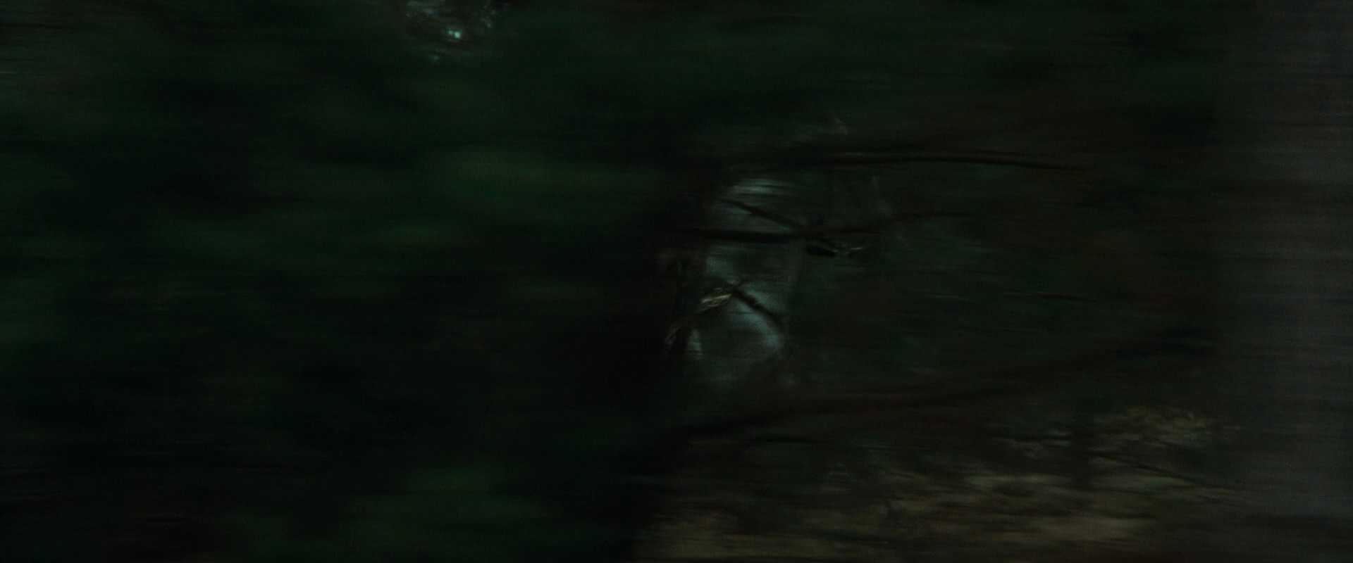 The Lord of the Rings: The Fellowship of the Ring (2001) screencap 9444