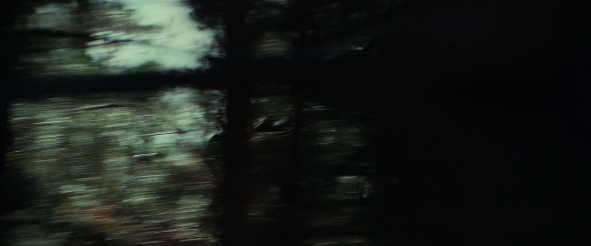 The Lord of the Rings: The Fellowship of the Ring (2001) screencap 9447