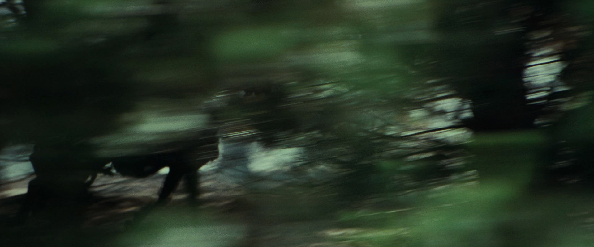 The Lord of the Rings: The Fellowship of the Ring (2001) HD screenshot 9449