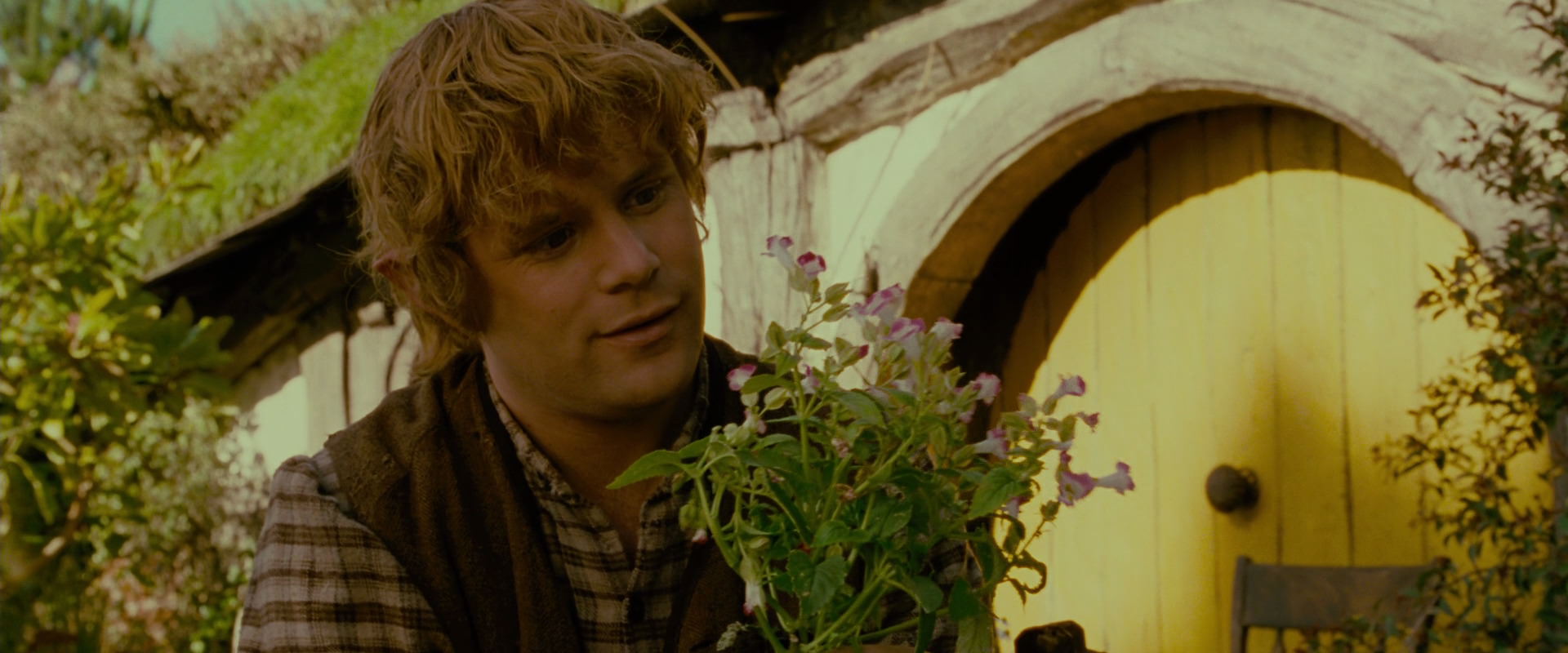 The Lord of the Rings: The Fellowship of the Ring (2001) screencap 945