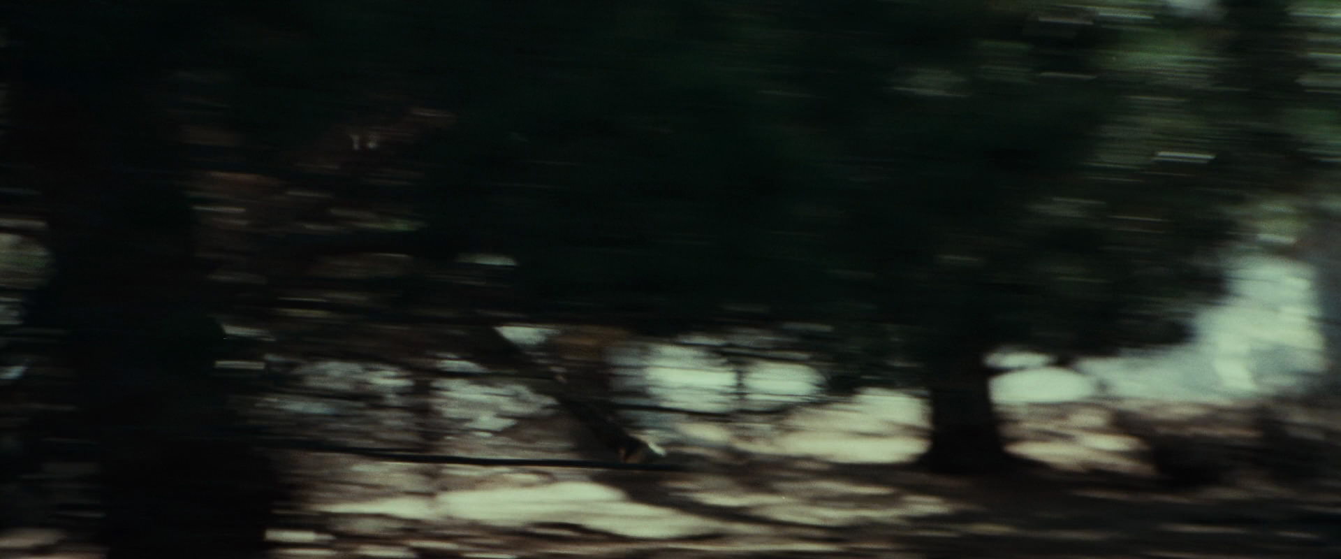 The Lord of the Rings: The Fellowship of the Ring (2001) screencap 9450