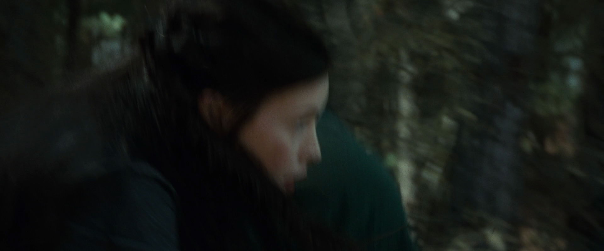 The Lord of the Rings: The Fellowship of the Ring (2001) HD screenshot 9452