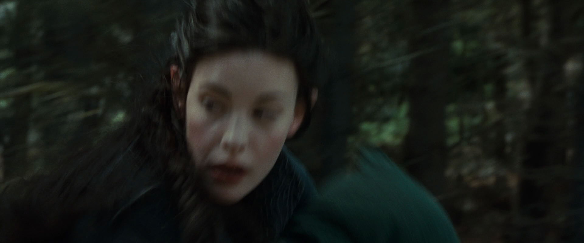 The Lord of the Rings: The Fellowship of the Ring (2001) screencap 9453