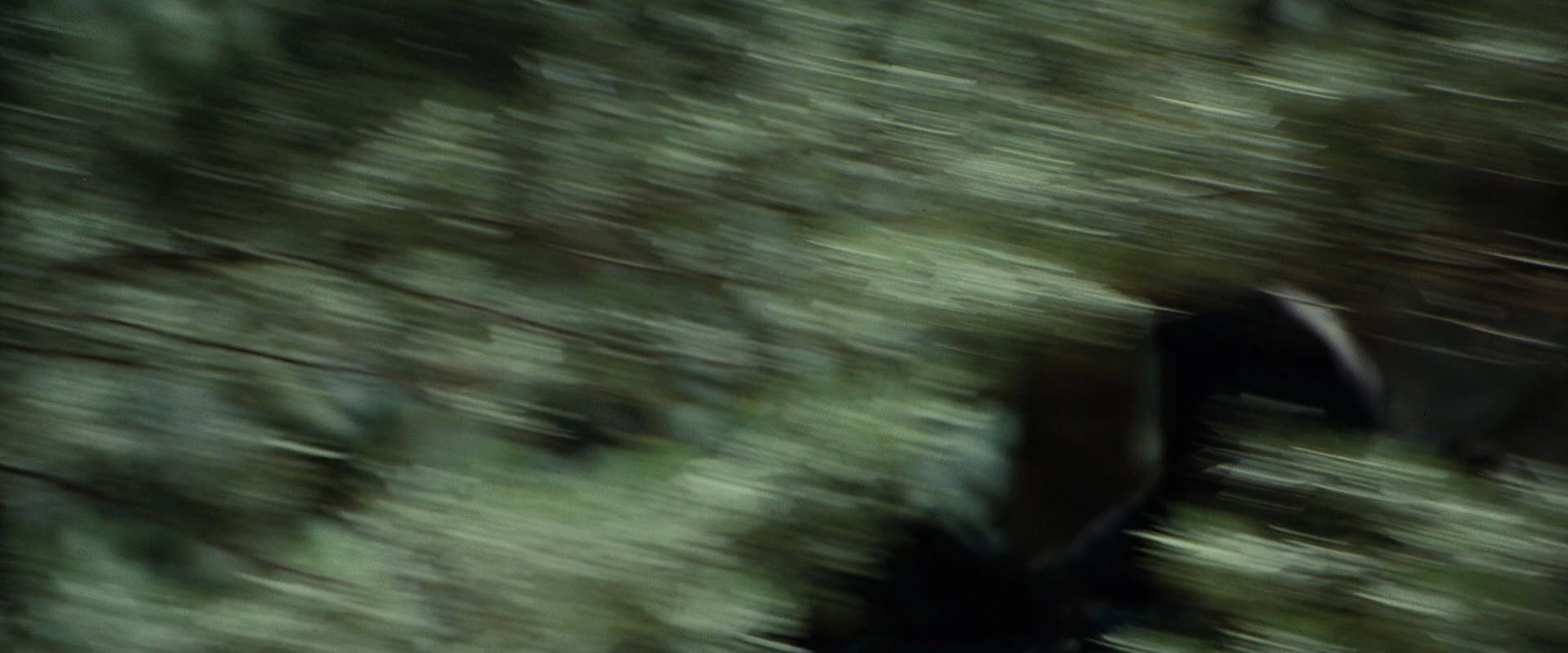 The Lord of the Rings: The Fellowship of the Ring (2001) screencap 9456