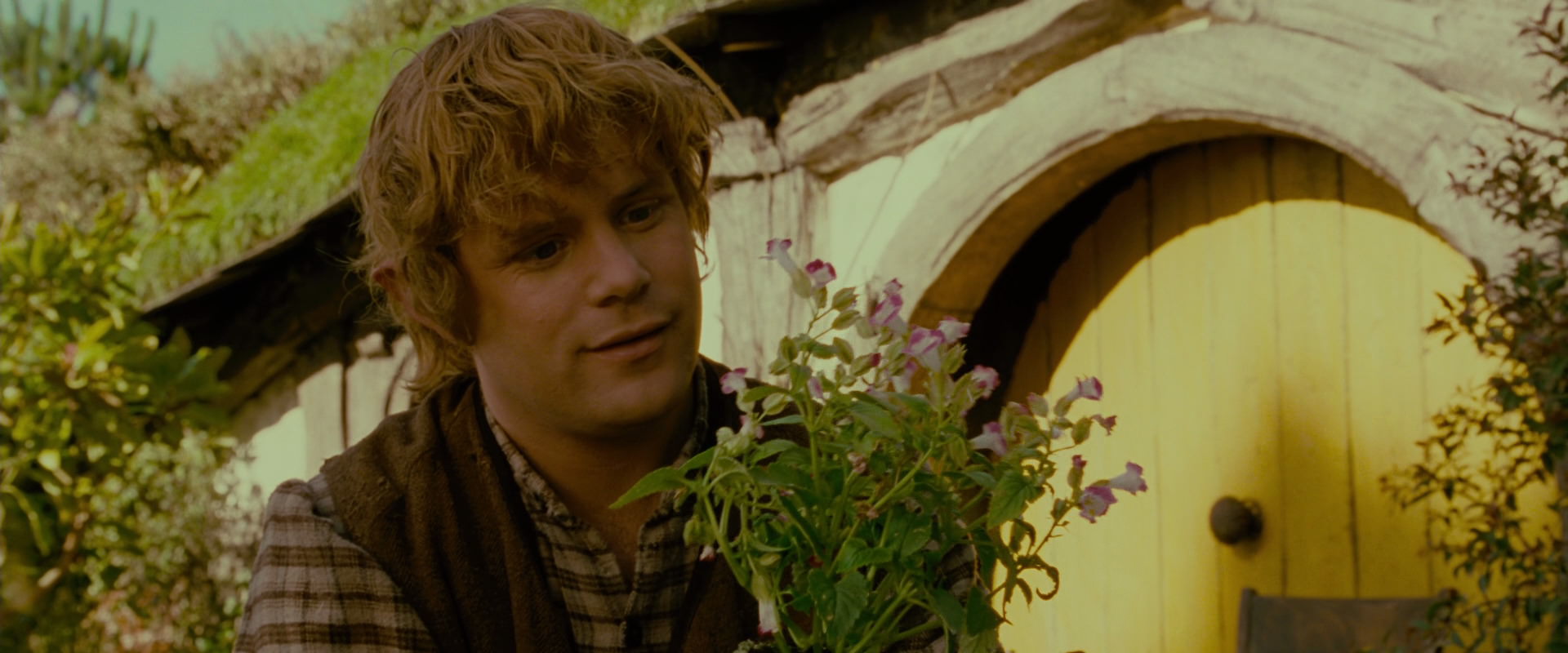 The Lord of the Rings: The Fellowship of the Ring (2001) movie still 946