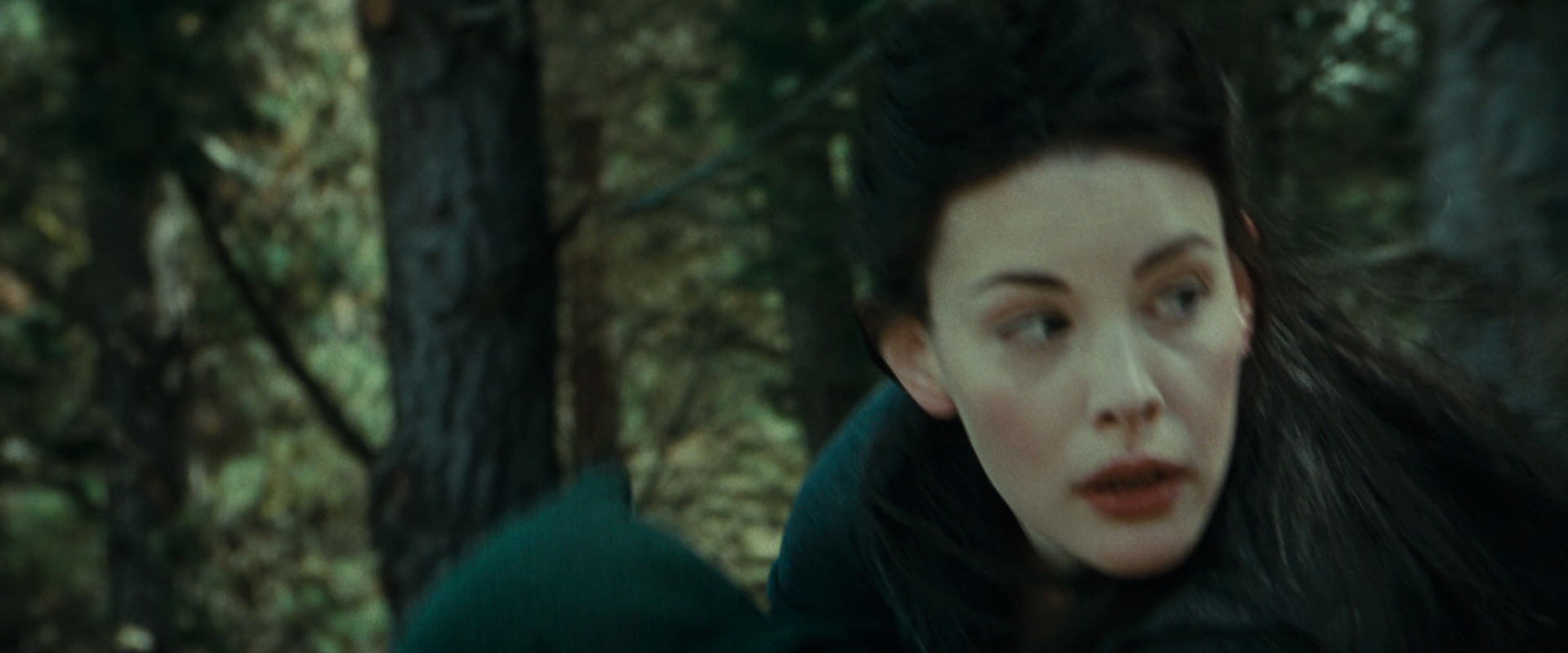 The Lord of the Rings: The Fellowship of the Ring (2001) screencap 9462