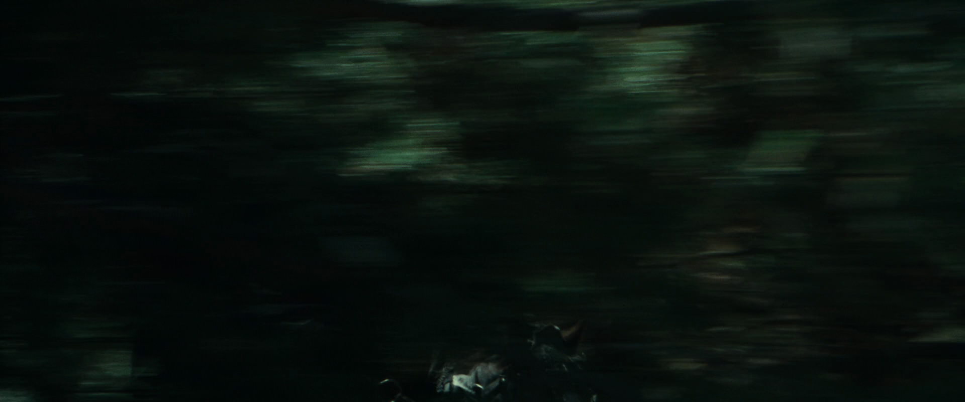 The Lord of the Rings: The Fellowship of the Ring (2001) screencap 9465
