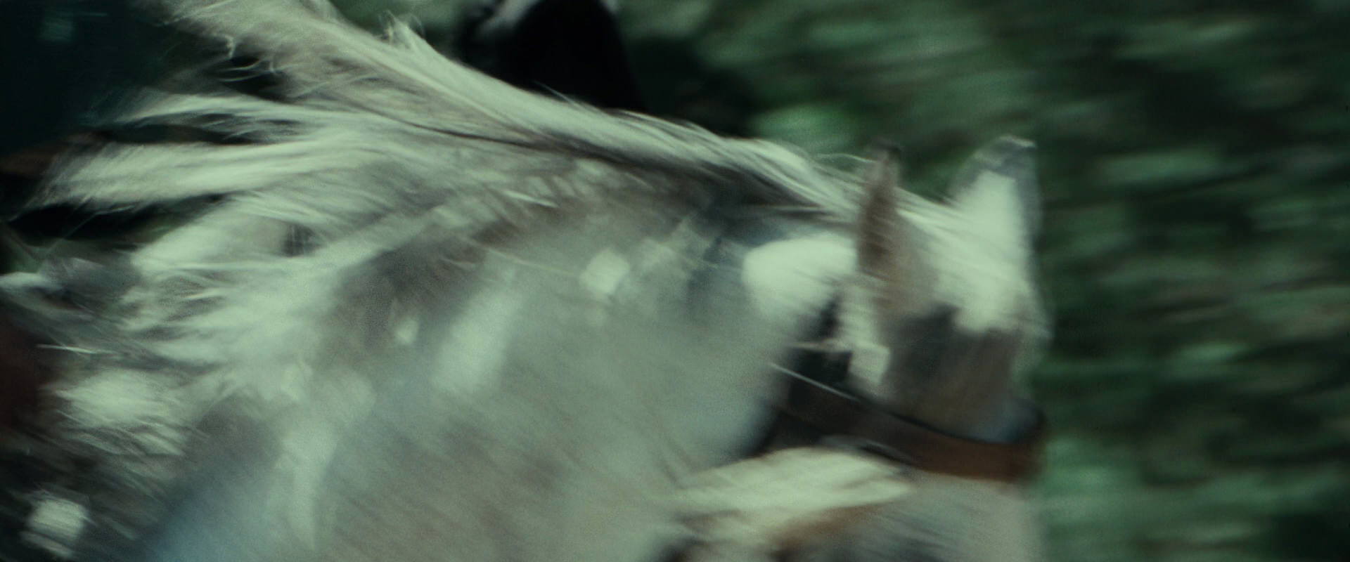 The Lord of the Rings: The Fellowship of the Ring (2001) screencap 9468