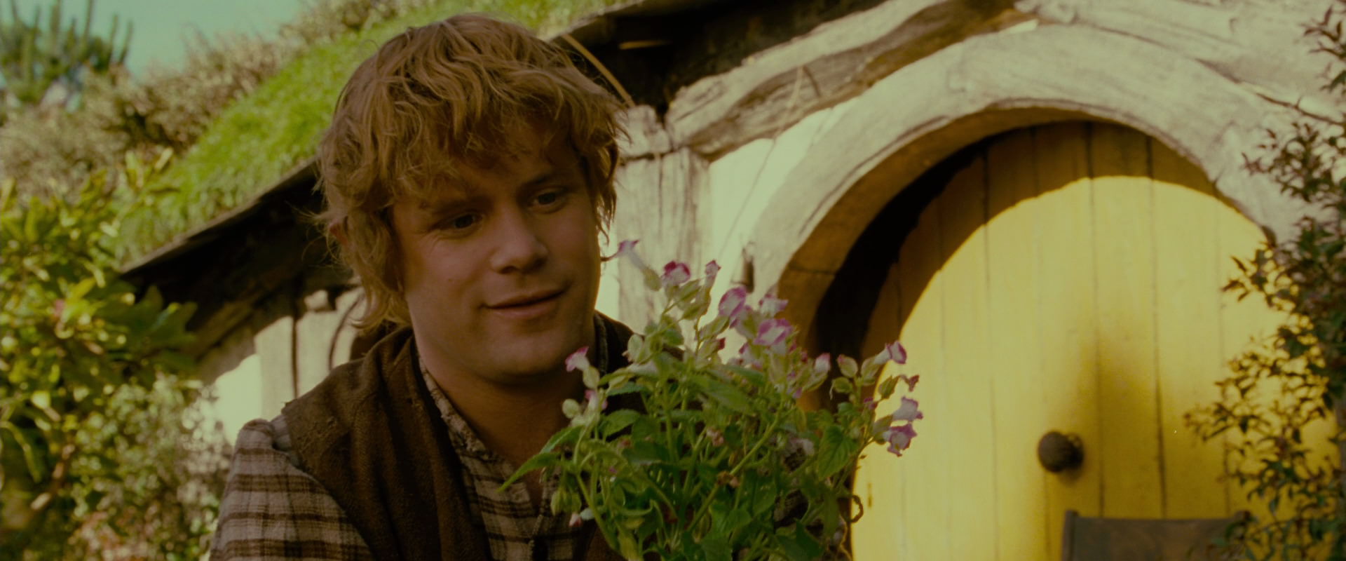 The Lord of the Rings: The Fellowship of the Ring (2001) HD screenshot 947