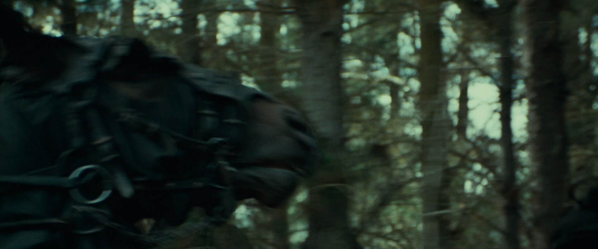 The Lord of the Rings: The Fellowship of the Ring (2001) screencap 9471