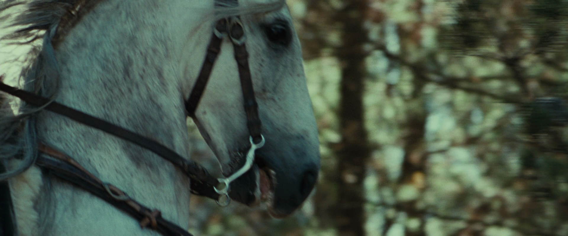 The Lord of the Rings: The Fellowship of the Ring (2001) movie still 9472