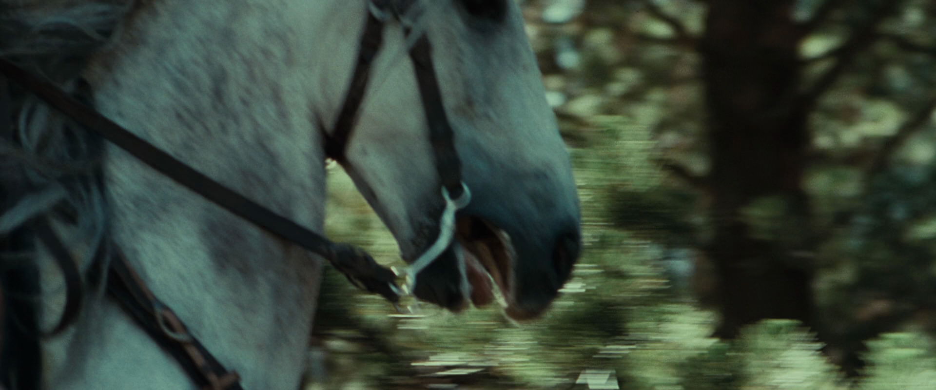 The Lord of the Rings: The Fellowship of the Ring (2001) HD screenshot 9473