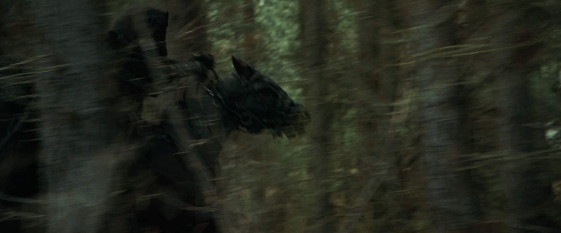 The Lord of the Rings: The Fellowship of the Ring (2001) screencap 9474
