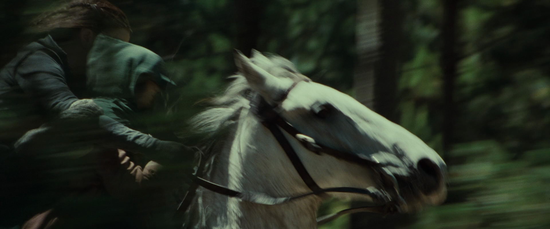 The Lord of the Rings: The Fellowship of the Ring (2001) HD screenshot 9476