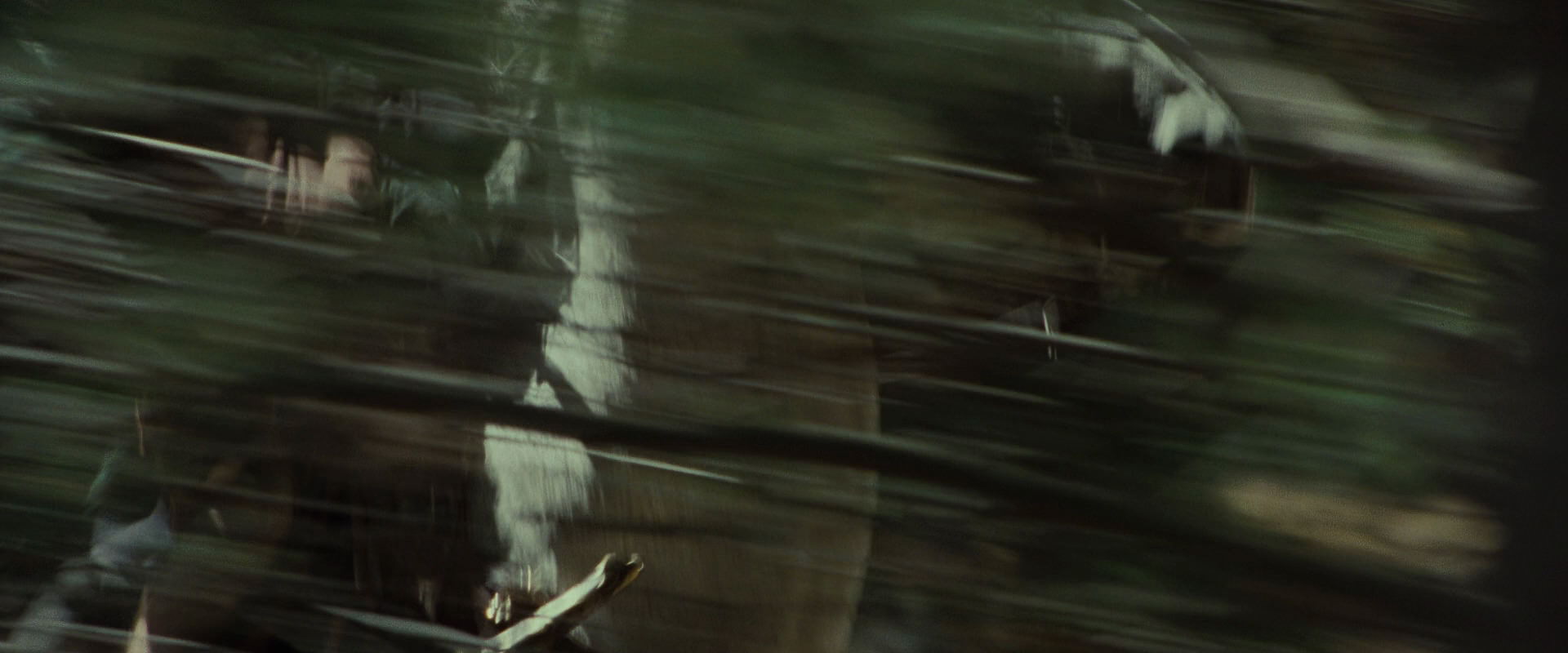 The Lord of the Rings: The Fellowship of the Ring (2001) screencap 9477