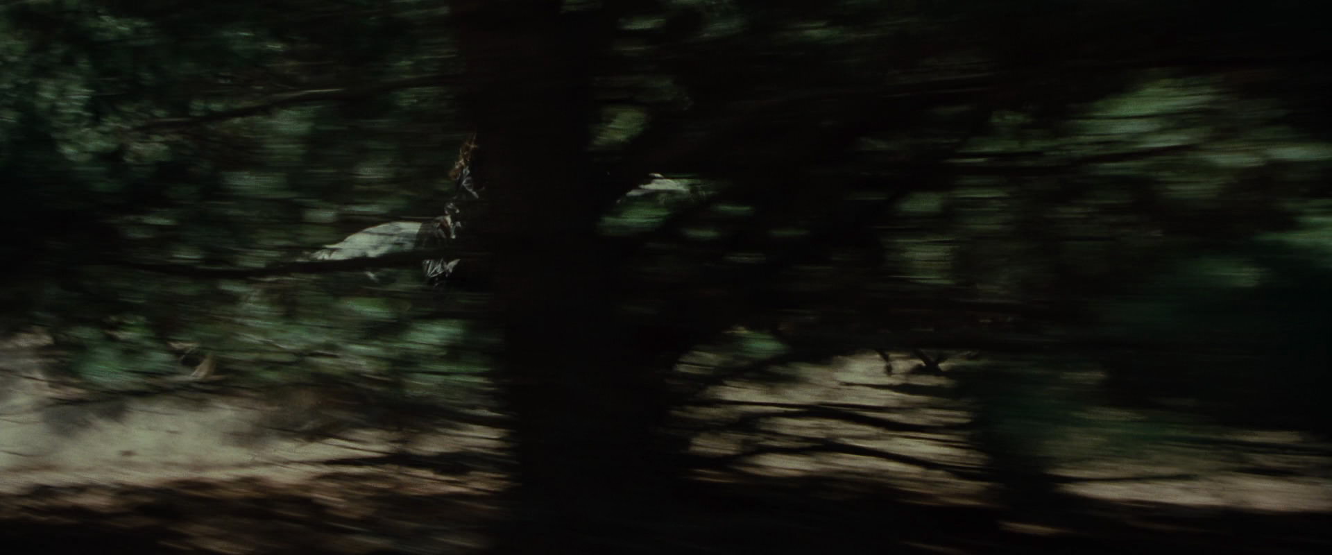 The Lord of the Rings: The Fellowship of the Ring (2001) HD screenshot 9479