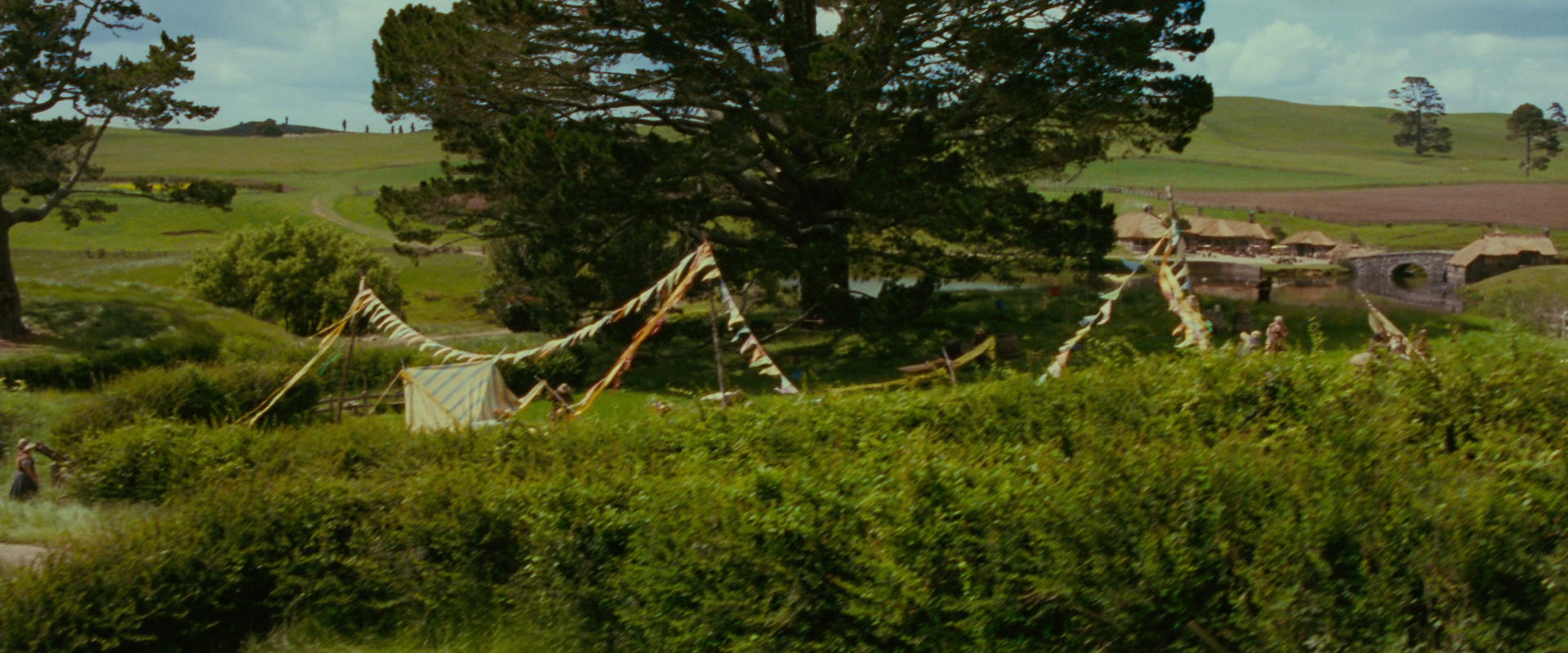 The Lord of the Rings: The Fellowship of the Ring (2001) screencap 948