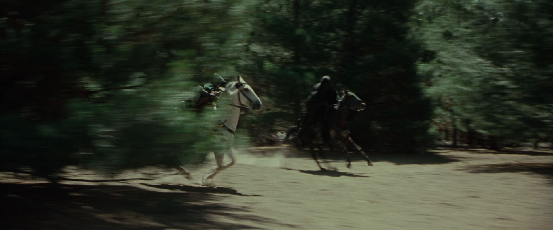The Lord of the Rings: The Fellowship of the Ring (2001) screencap 9480