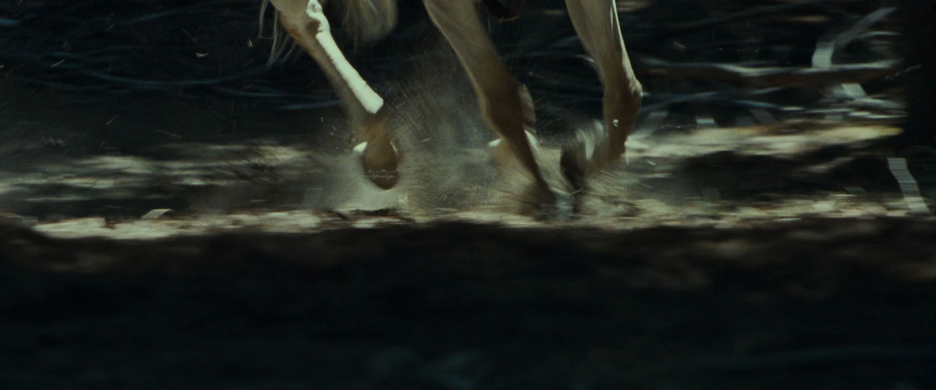 The Lord of the Rings: The Fellowship of the Ring (2001) HD screenshot 9482