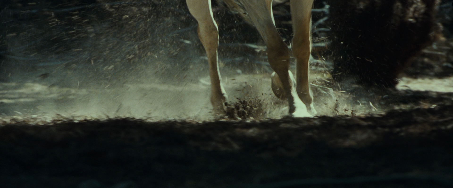 The Lord of the Rings: The Fellowship of the Ring (2001) screencap 9483