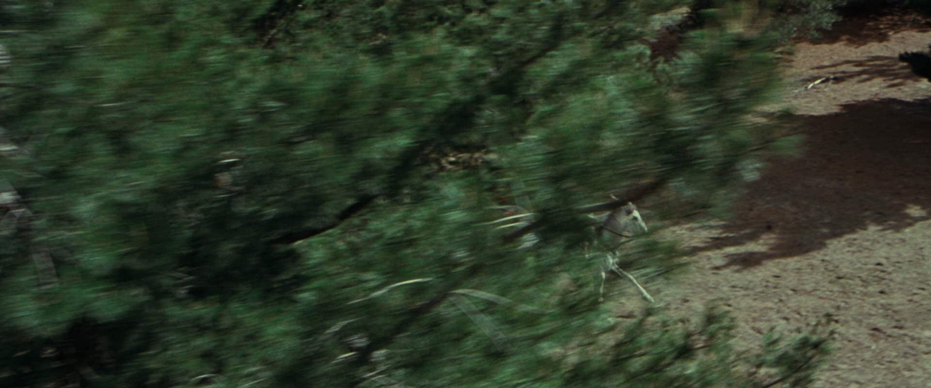 The Lord of the Rings: The Fellowship of the Ring (2001) movie still 9484