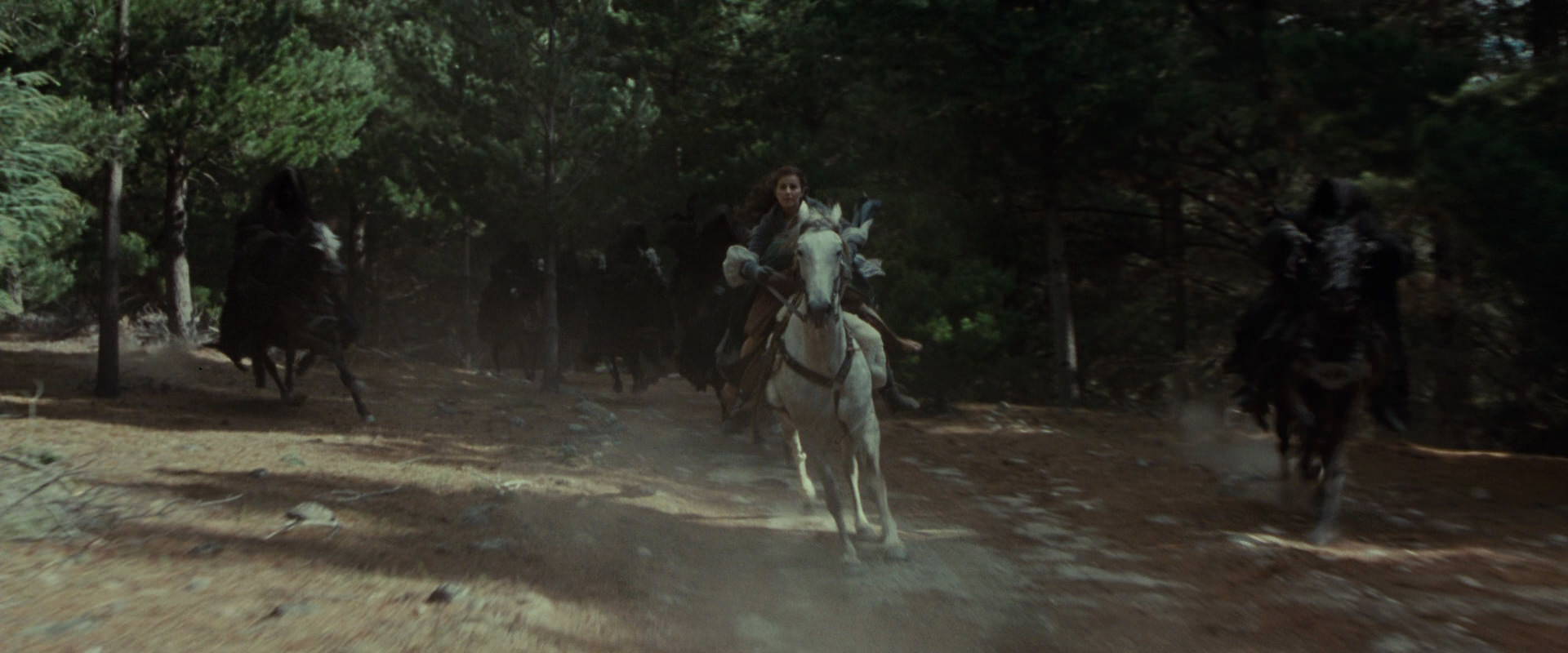 The Lord of the Rings: The Fellowship of the Ring (2001) screencap 9489
