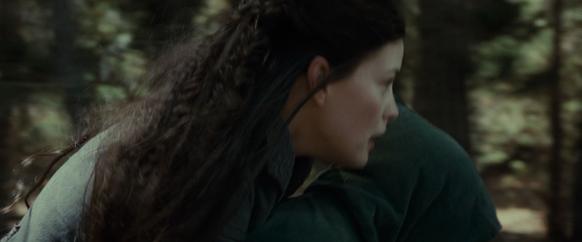 The Lord of the Rings: The Fellowship of the Ring (2001) HD screenshot 9497