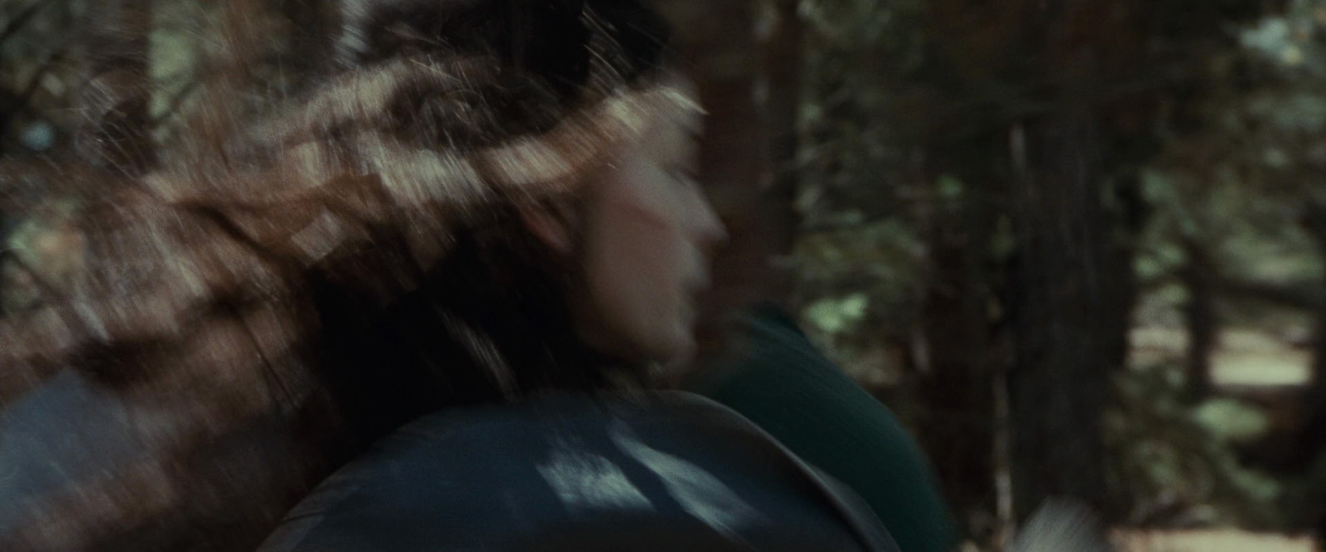 The Lord of the Rings: The Fellowship of the Ring (2001) movie still 9499