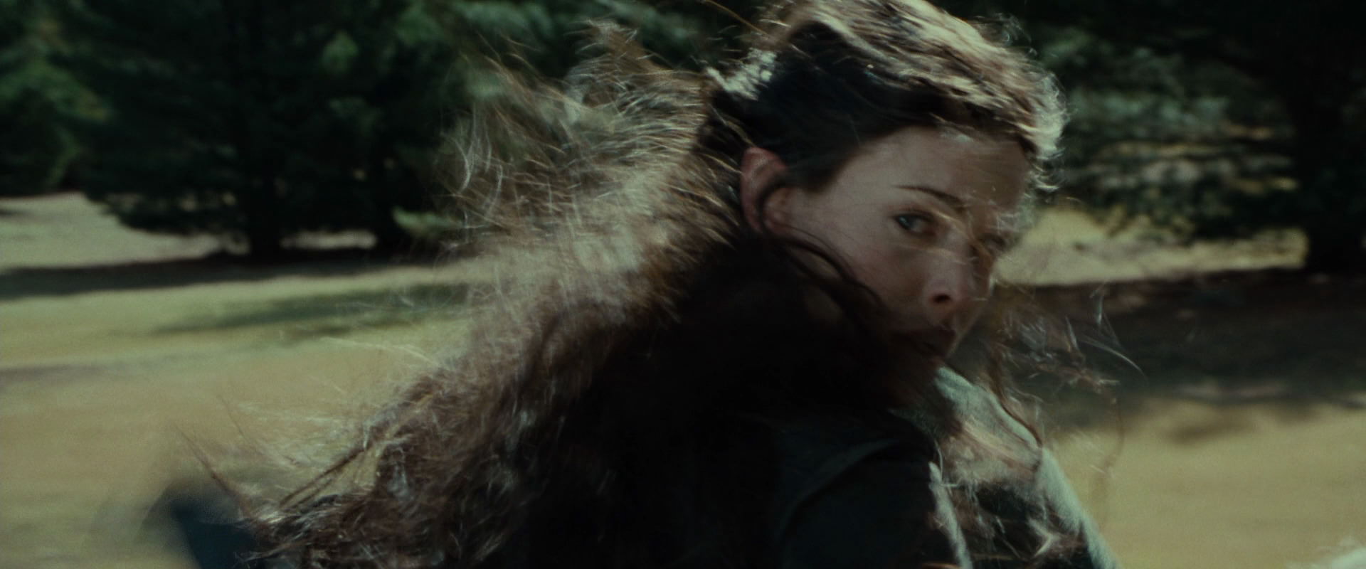The Lord of the Rings: The Fellowship of the Ring (2001) screencap 9504