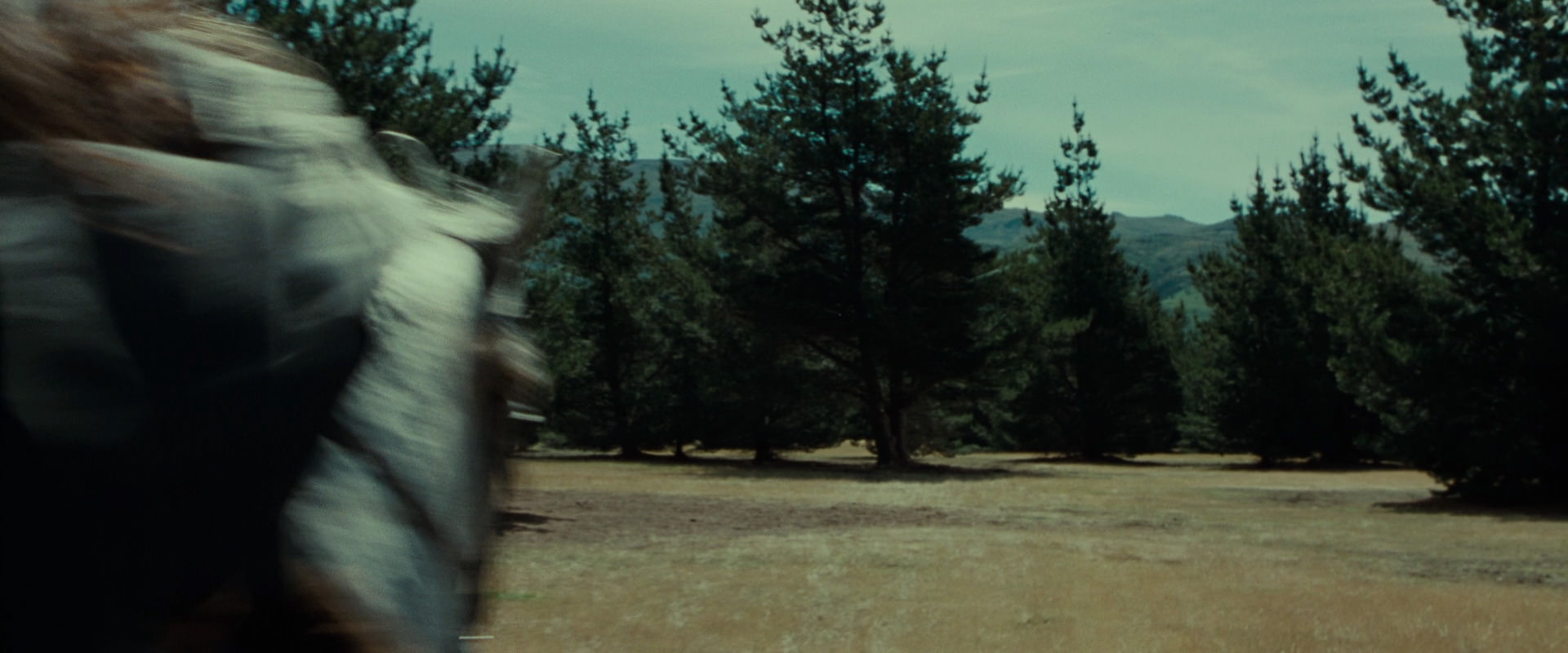 The Lord of the Rings: The Fellowship of the Ring (2001) screencap 9516