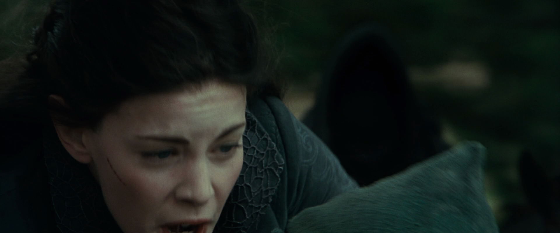 The Lord of the Rings: The Fellowship of the Ring (2001) screencap 9552