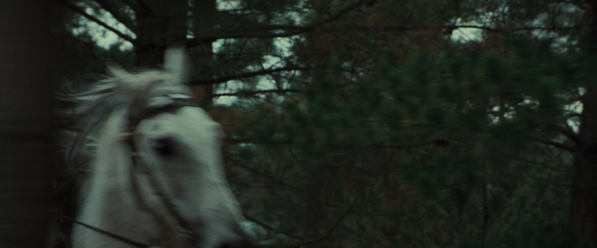 The Lord of the Rings: The Fellowship of the Ring (2001) HD screenshot 9554