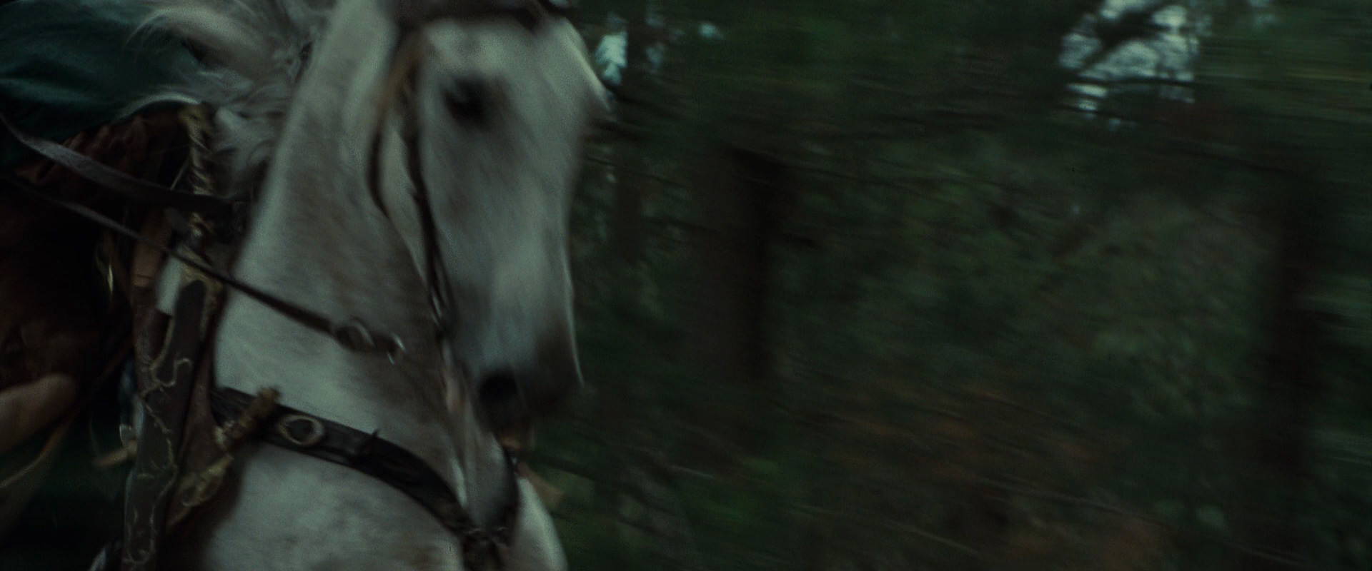 The Lord of the Rings: The Fellowship of the Ring (2001) screencap 9555