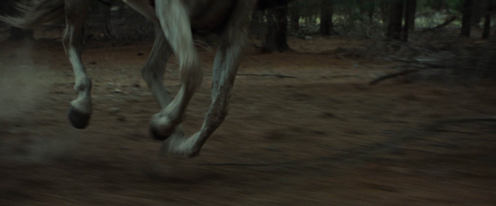 The Lord of the Rings: The Fellowship of the Ring (2001) HD screenshot 9557