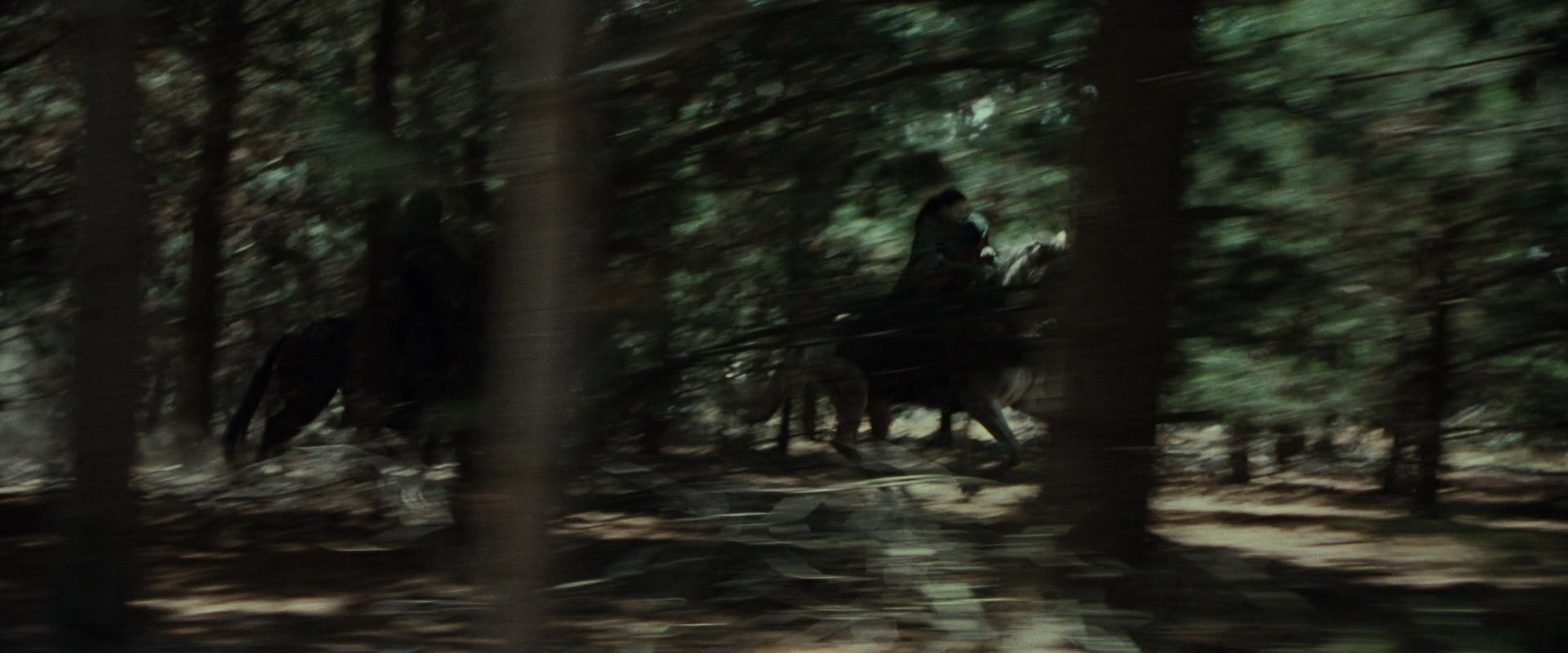 The Lord of the Rings: The Fellowship of the Ring (2001) screencap 9558