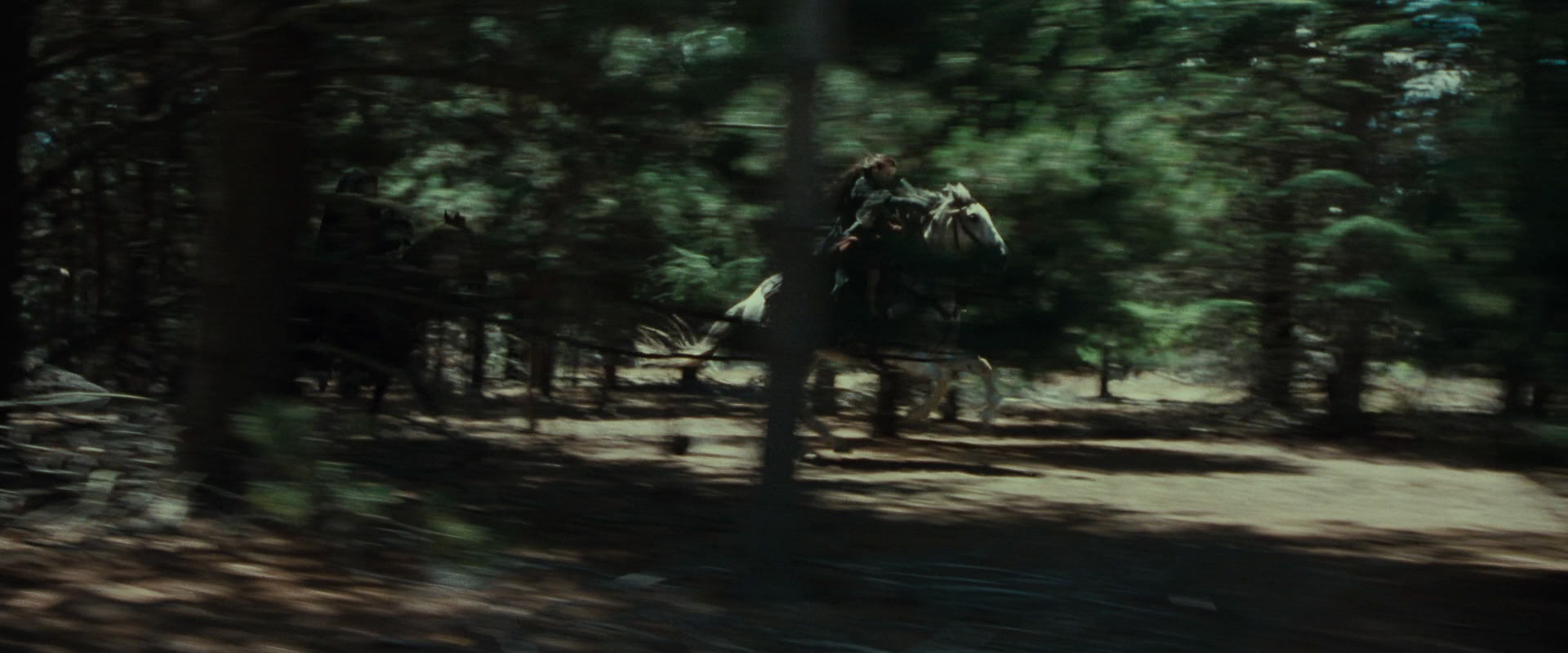 The Lord of the Rings: The Fellowship of the Ring (2001) movie still 9559