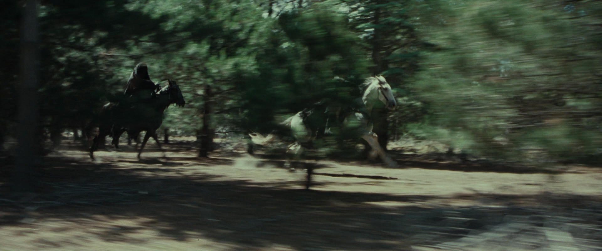 The Lord of the Rings: The Fellowship of the Ring (2001) HD screenshot 9560