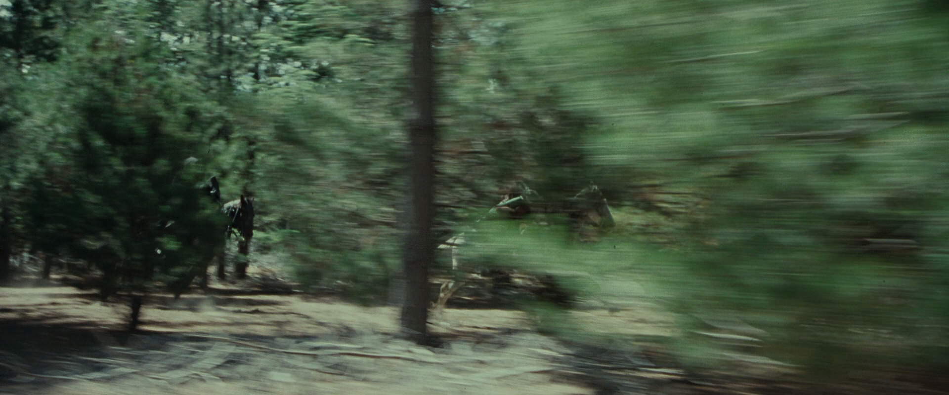 The Lord of the Rings: The Fellowship of the Ring (2001) screencap 9561