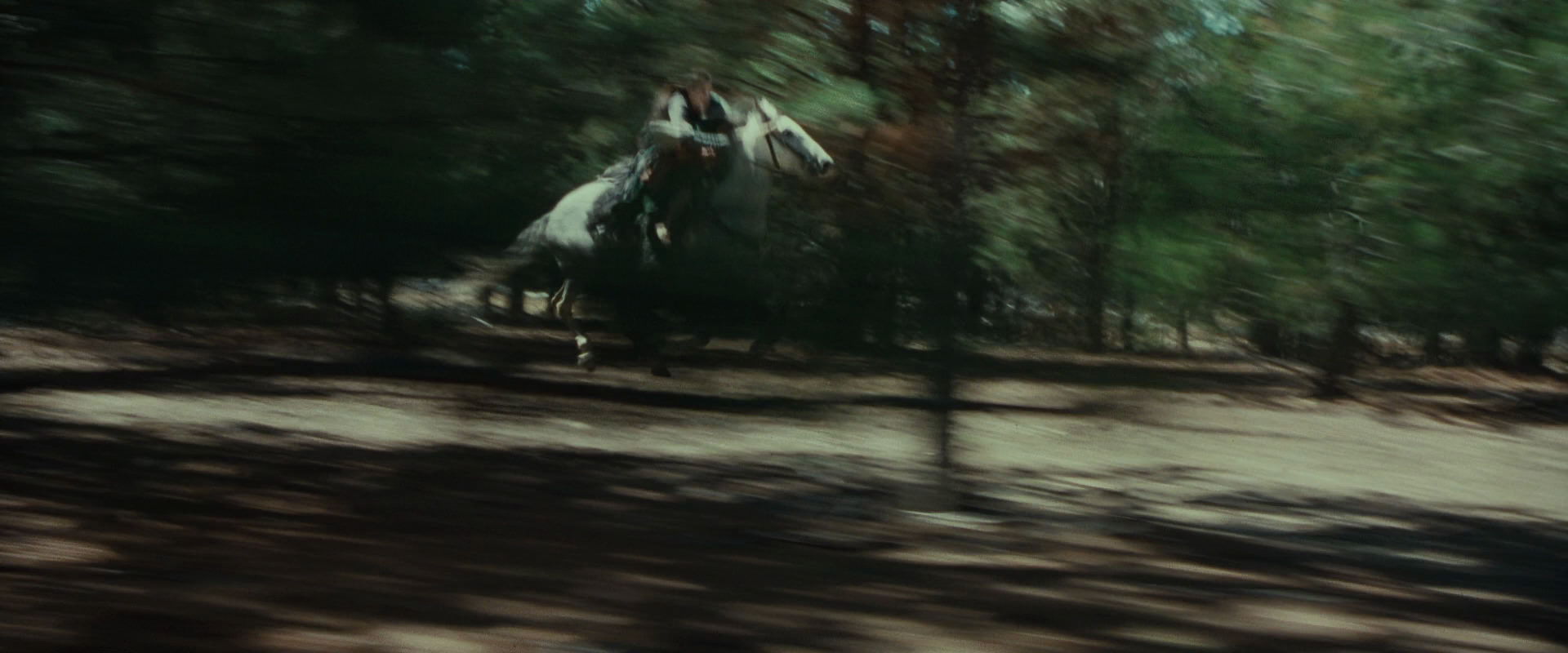 The Lord of the Rings: The Fellowship of the Ring (2001) screencap 9564