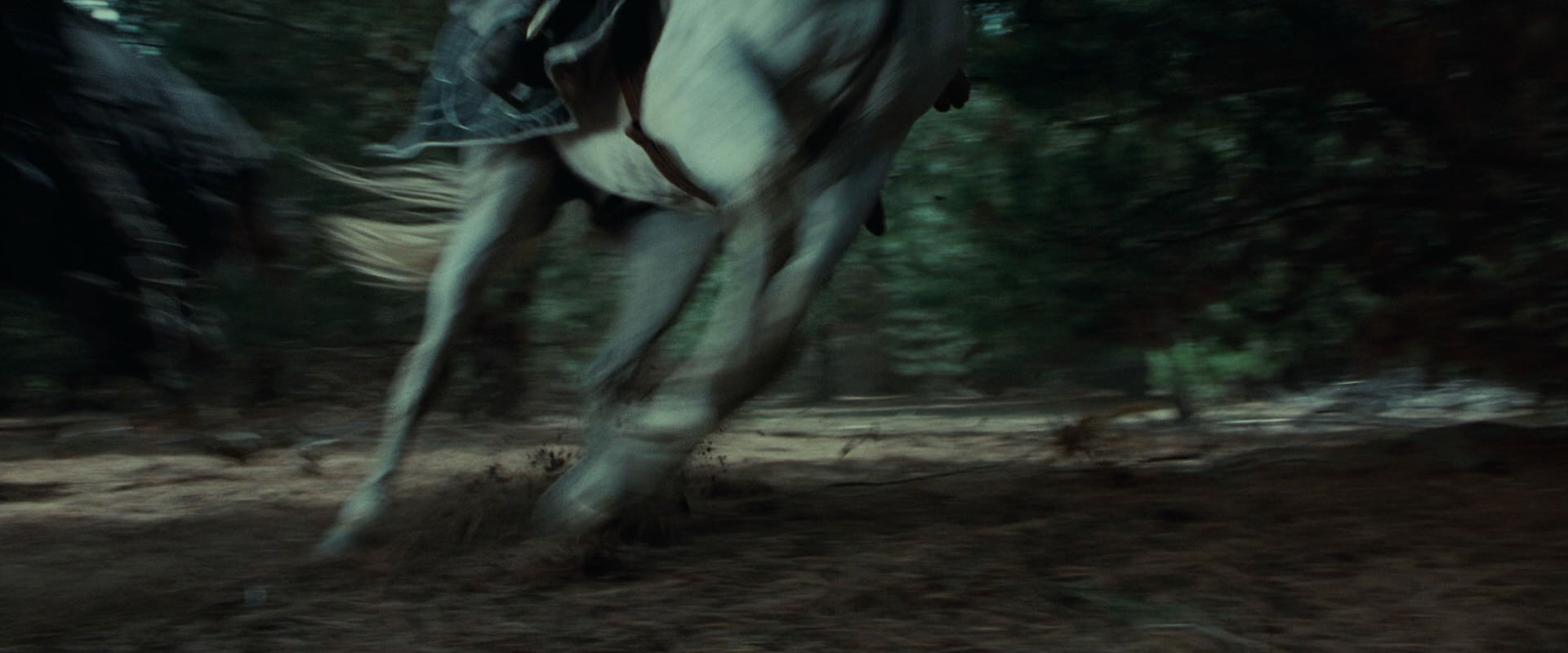The Lord of the Rings: The Fellowship of the Ring (2001) HD screenshot 9569