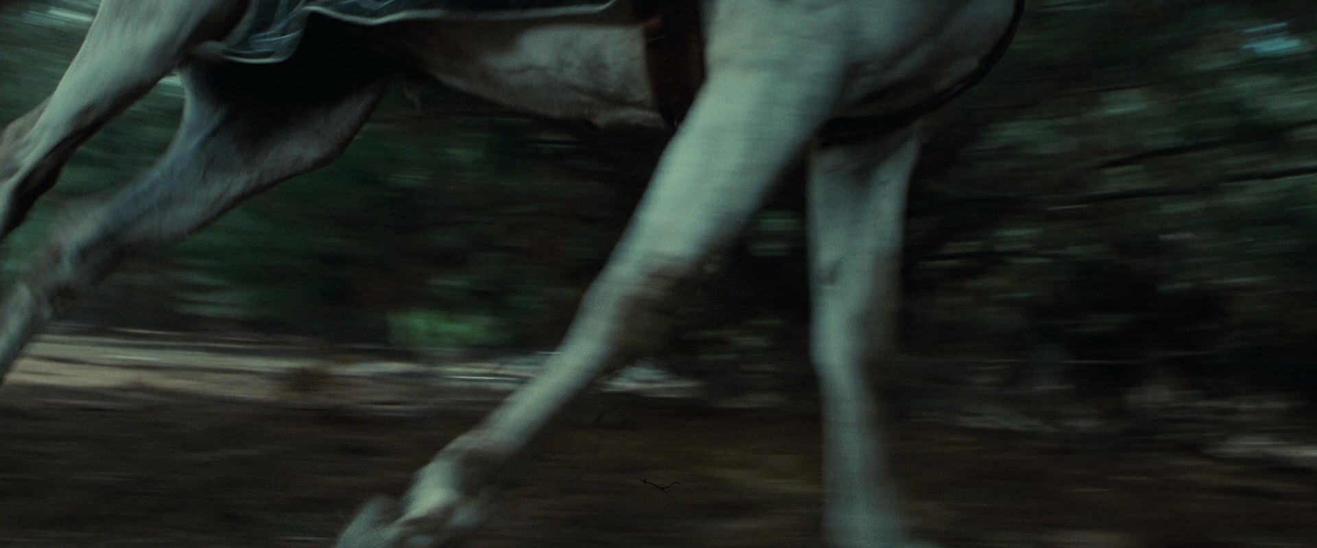 The Lord of the Rings: The Fellowship of the Ring (2001) screencap 9570