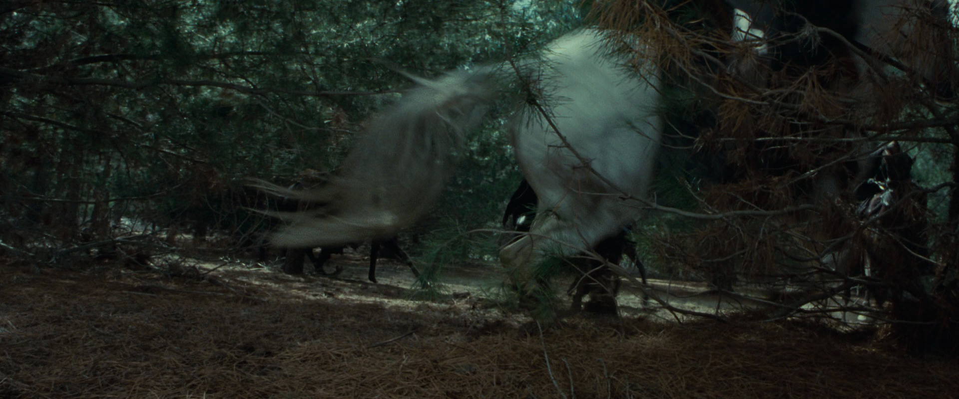 The Lord of the Rings: The Fellowship of the Ring (2001) HD screenshot 9572