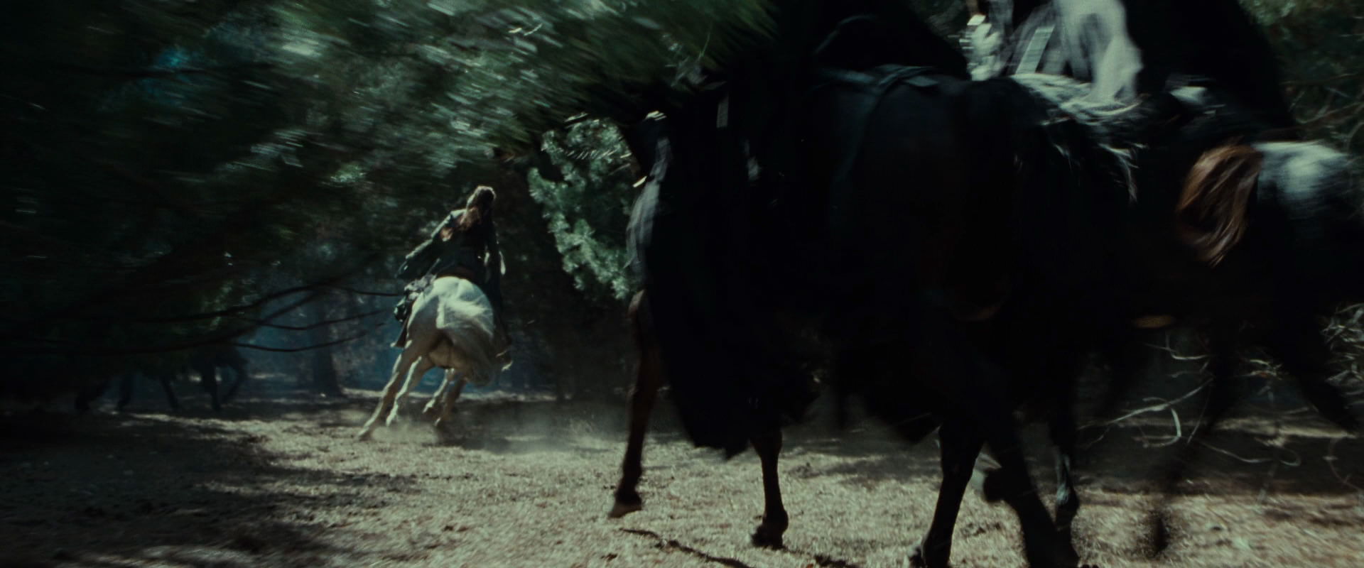 The Lord of the Rings: The Fellowship of the Ring (2001) screencap 9573