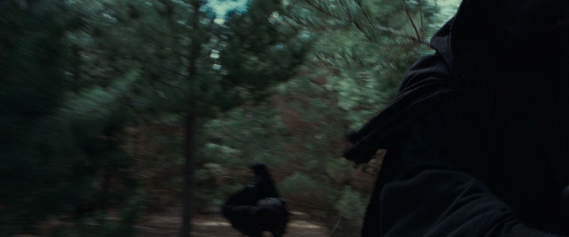 The Lord of the Rings: The Fellowship of the Ring (2001) HD screenshot 9575