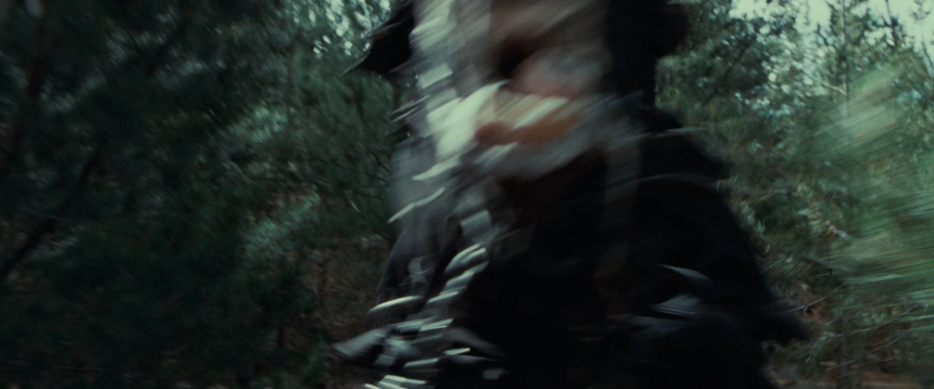 The Lord of the Rings: The Fellowship of the Ring (2001) screencap 9576