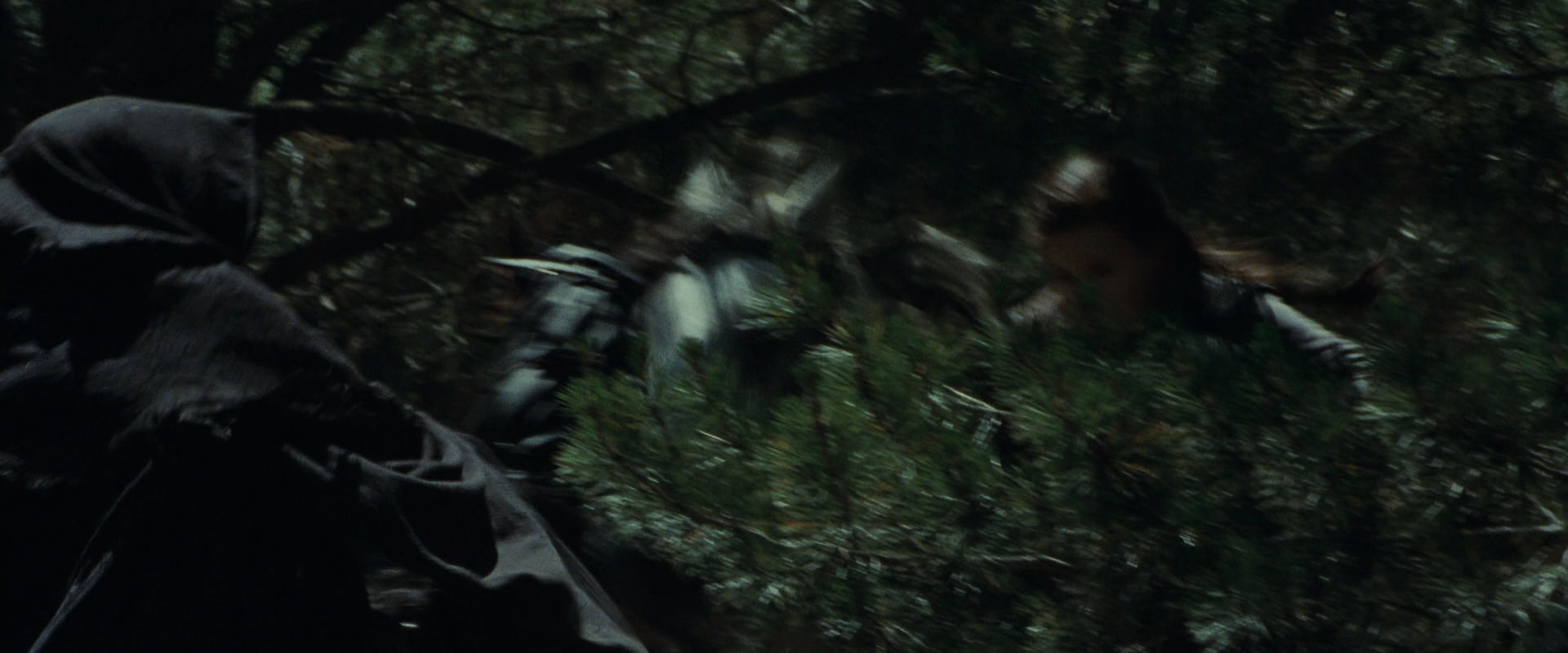 The Lord of the Rings: The Fellowship of the Ring (2001) movie still 9577