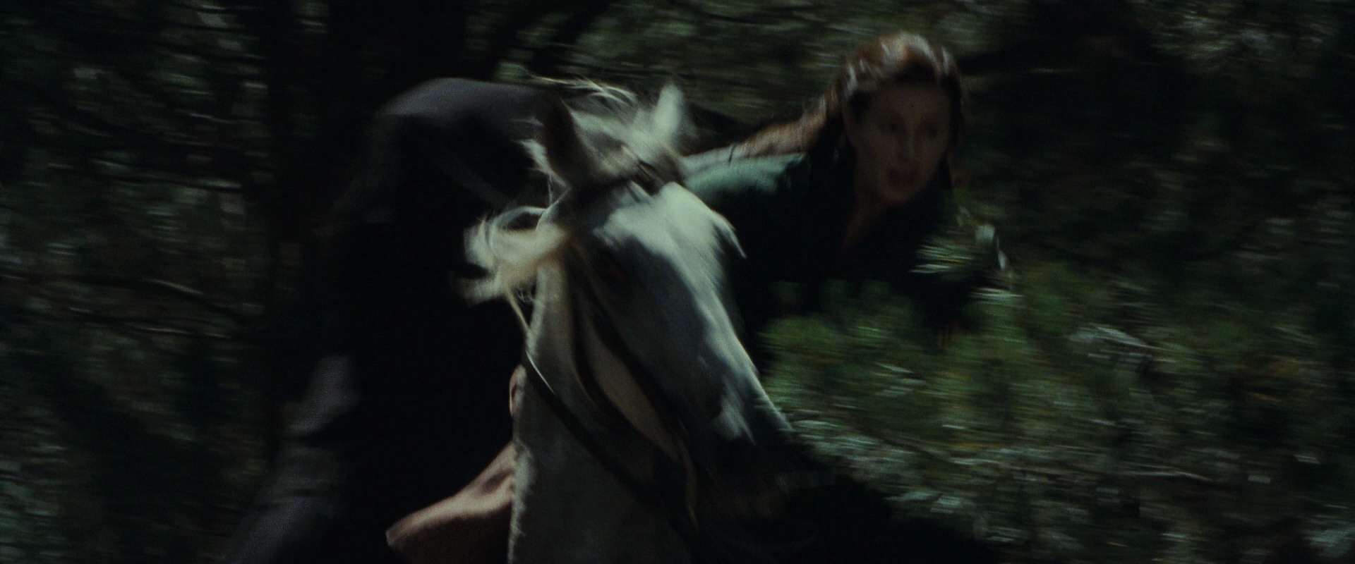 The Lord of the Rings: The Fellowship of the Ring (2001) HD screenshot 9578