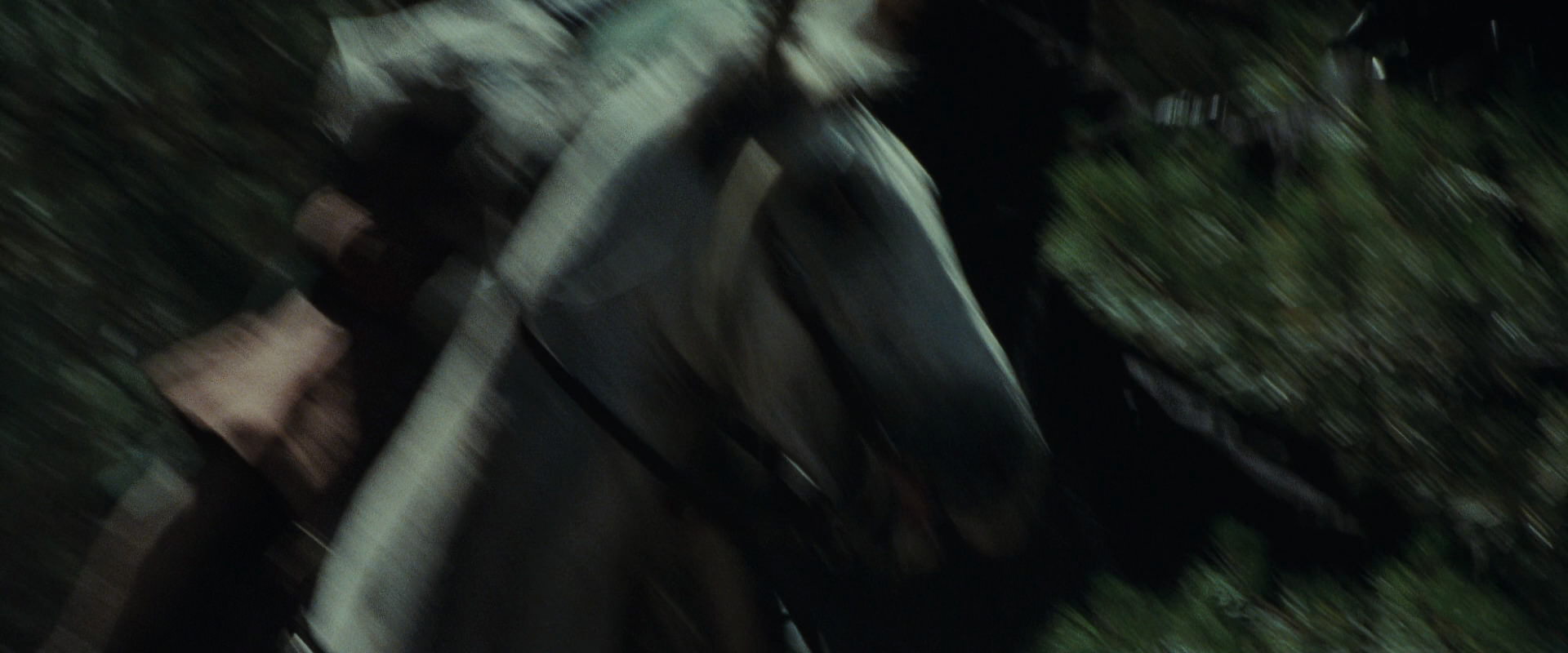 The Lord of the Rings: The Fellowship of the Ring (2001) screencap 9579