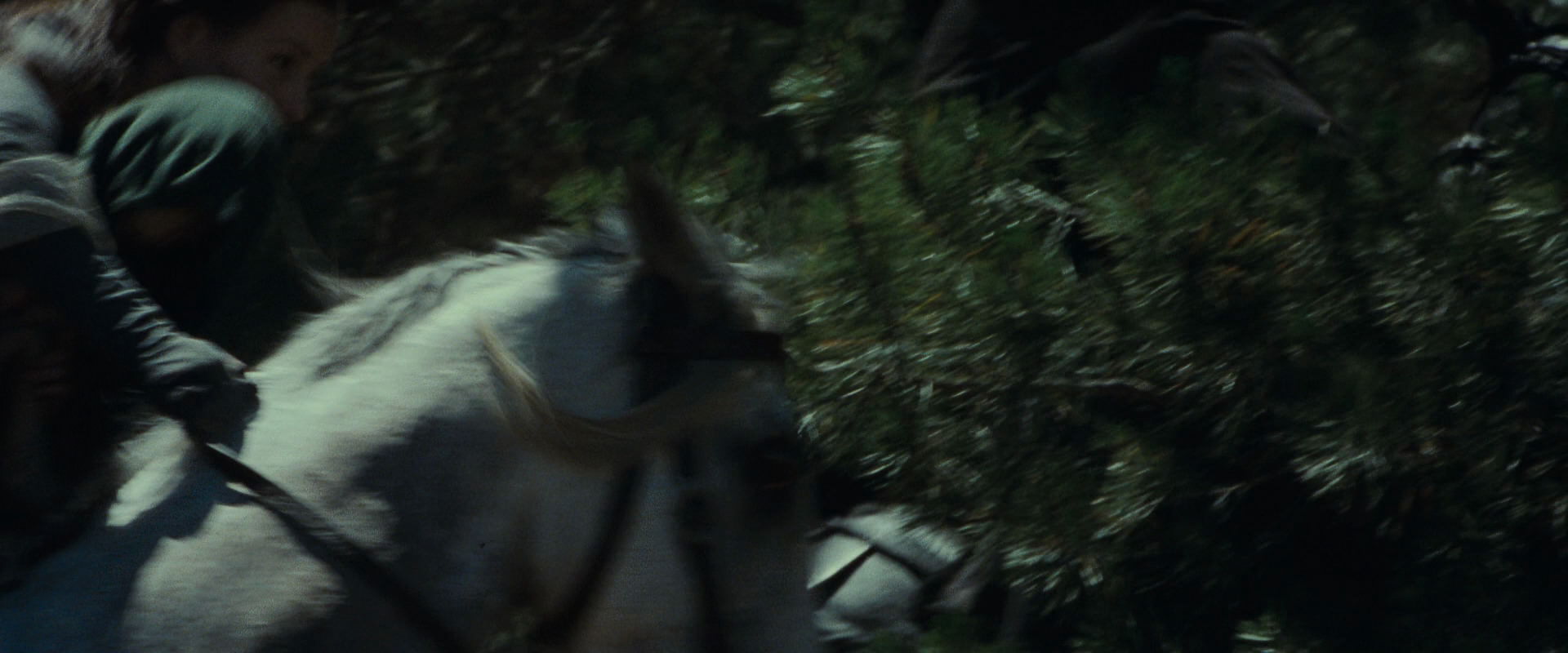 The Lord of the Rings: The Fellowship of the Ring (2001) movie still 9580