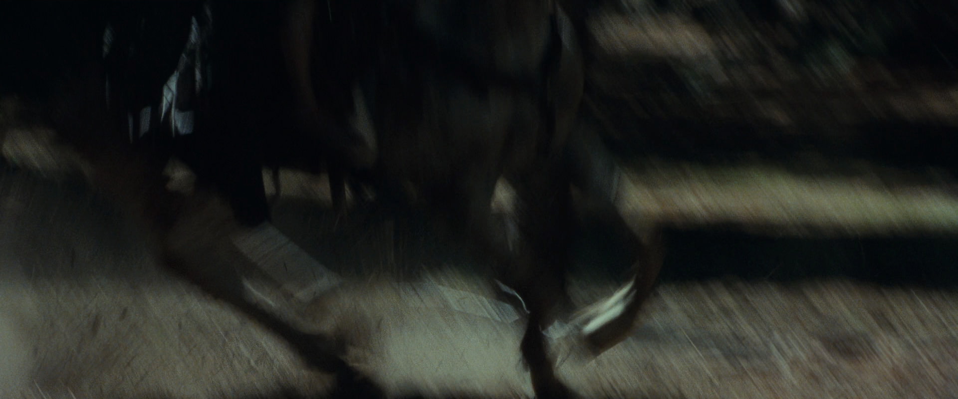 The Lord of the Rings: The Fellowship of the Ring (2001) HD screenshot 9581